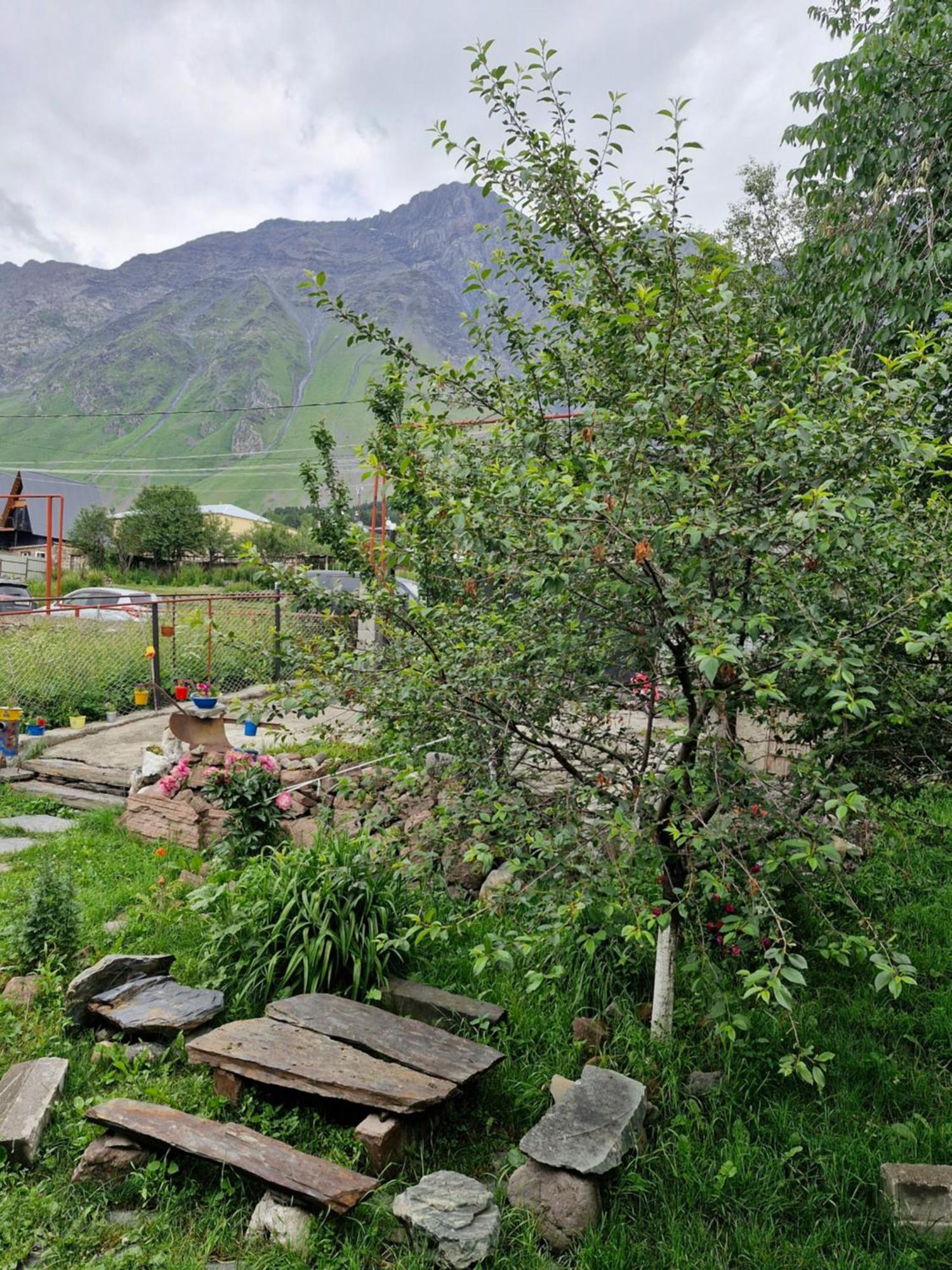 Maiko Guest House Казбеги Екстериор снимка